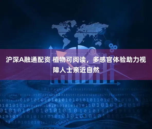 沪深A融通配资 植物可阅读，多感官体验助力视障人士亲近自然