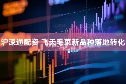 沪深通配资 飞天毛菜新品种落地转化